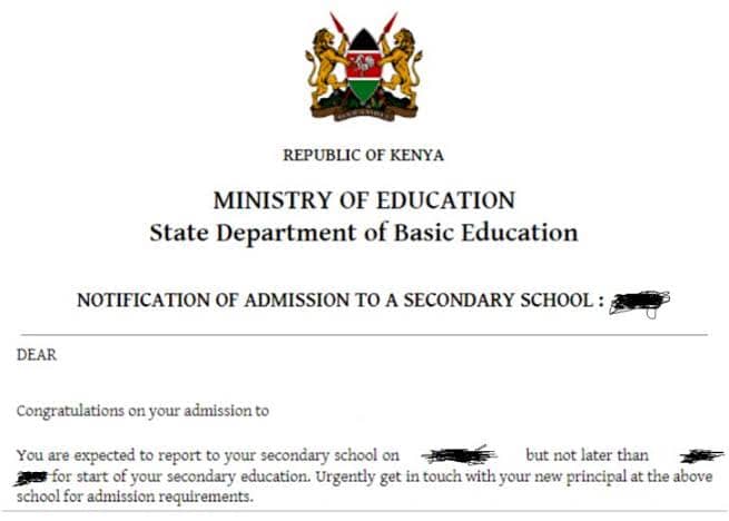 Steps in Downloading 2024 Form One Admission Letter - Chipuko Digital